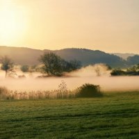 misty morning :: Elena Wymann