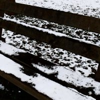 Южная зима - 3 :: Алексей Кузнецов