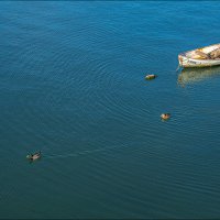 Утро :: **** vedin