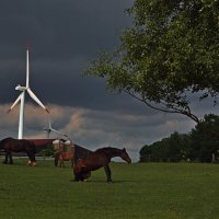 Наевшись, можно и отдохнуть :: Valziwa Наевшись, можно и отдохнуть :: Valziwa