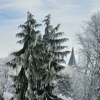 Калининград. Кафедральный собор. :: Михаил Свиденцов Калининград. Кафедральный собор. :: Михаил Свиденцов