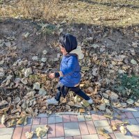 Листопад :: Андрей Хлопонин Листопад :: Андрей Хлопонин