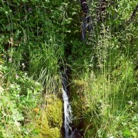 Водопадик. :: ВикТор Быстров Водопадик. :: ВикТор Быстров