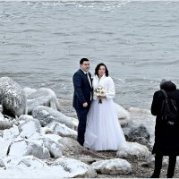 Молодожёны. :: Валерия Комова Молодожёны. :: Валерия Комова