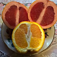 Витаминный :: Елена Семигина Витаминный :: Елена Семигина