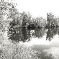 Фотография :: Денис Безногов Фотография :: Денис Безногов