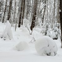 зимняя прогулка :: Владимир 