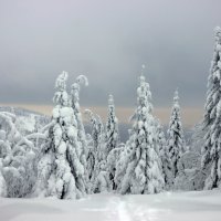 Январь в уральских горах :: Галина Ильясова