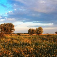 Вечер. :: Александр. AVG100 ---
