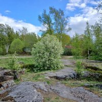 Весна на Батарейной горе. :: Лия ☼