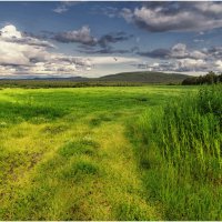 Русское поле... :: Владимир Чикота 