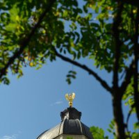 Павловск. Дворец. :: Константин 