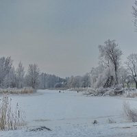 зимний день :: ИННА ПОРОХОВА