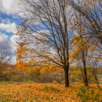 Октябрь в Царицыно... :: Владимир Жданов