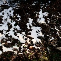 Южная зима - 7 :: Алексей Кузнецов