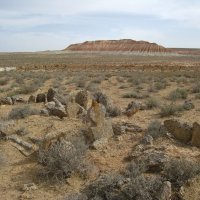 Заброшенное кладбище на севере Туркменистана. :: unix (Илья Утропов)