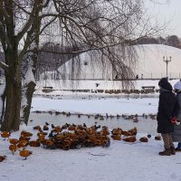 Зима в Царицыно :: Ольга Зима в Царицыно :: Ольга