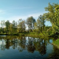 Отражения Пушкина :: Елена Суханова