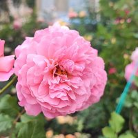 ,,, :: Сергей Тимоновский ,,, :: Сергей Тимоновский