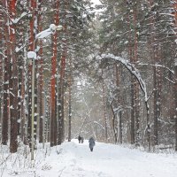 Тропа здоровья :: Галина Нестратова