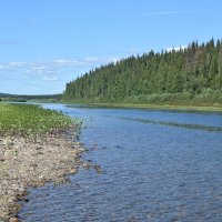 Уходит вдаль река. :: ВикТор Быстров Уходит вдаль река. :: ВикТор Быстров