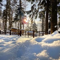 . :: РИТА ЛЕВКОВА