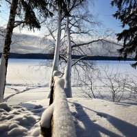 . :: РИТА ЛЕВКОВА