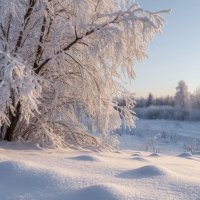 Природы дивное творенье... :: Ravile 