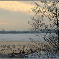 Настало времечко :: Aleksandr Gal Настало времечко :: Aleksandr Gal