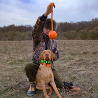 Игры с любимой собакой на Андреевском лугу :: Евгений 