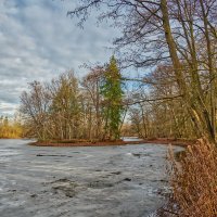 Пруд :: Jakob Dick Пруд :: Jakob Dick