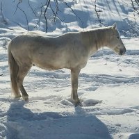 Talgar. :: Murat Bukaev 