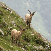 Двое ... :: Андрей Любимов Двое ... :: Андрей Любимов
