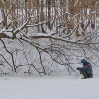 Ловись рыбка мала и велика :: Анастасия Смирнова