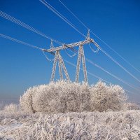 В Москву нагрянули морозы,,,но туман  , видимость почти нулевая,,,, :: Анатолий Колосов