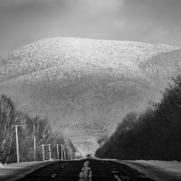 Road :: Evgenii Zlobin