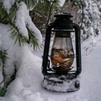 Примус на прогулке :: sorovey Sol