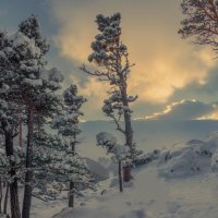 *** :: Аnatoly Gaponenko *** :: Аnatoly Gaponenko