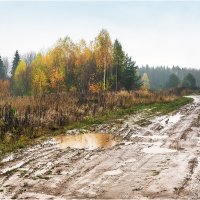 Октябрь :: Валентин Котляров Октябрь :: Валентин Котляров