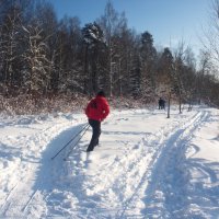 Красивый день :: marmorozov Морозова Красивый день :: marmorozov Морозова