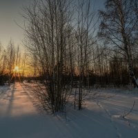 холодные лучи :: сергей 