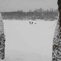 Без названия :: Владимир Носов