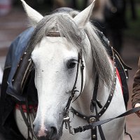 в ожидании :: Олег Лукьянов