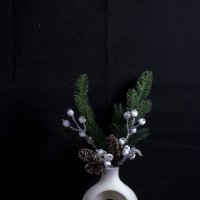 Зимний букет :: Людмила Павловна Крышковец Зимний букет :: Людмила Павловна Крышковец