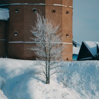 На фоне древних стен... :: Вячеслав Владимирович