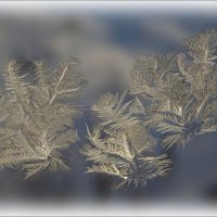 Морозные узоры ... :: Валентина Надсон