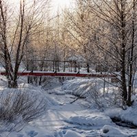 "Ажурный свет в морозный день. У речки"© :: Владимир Макаров