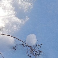 Настоящая зима! :: Валентина Нефёдова Настоящая зима! :: Валентина Нефёдова