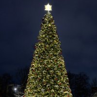 Новогодняя красавица :: Dar(k) Life Новогодняя красавица :: Dar(k) Life