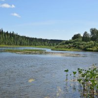 Островок. :: ВикТор Быстров